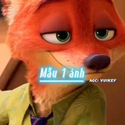 Mẫu 1 ảnh