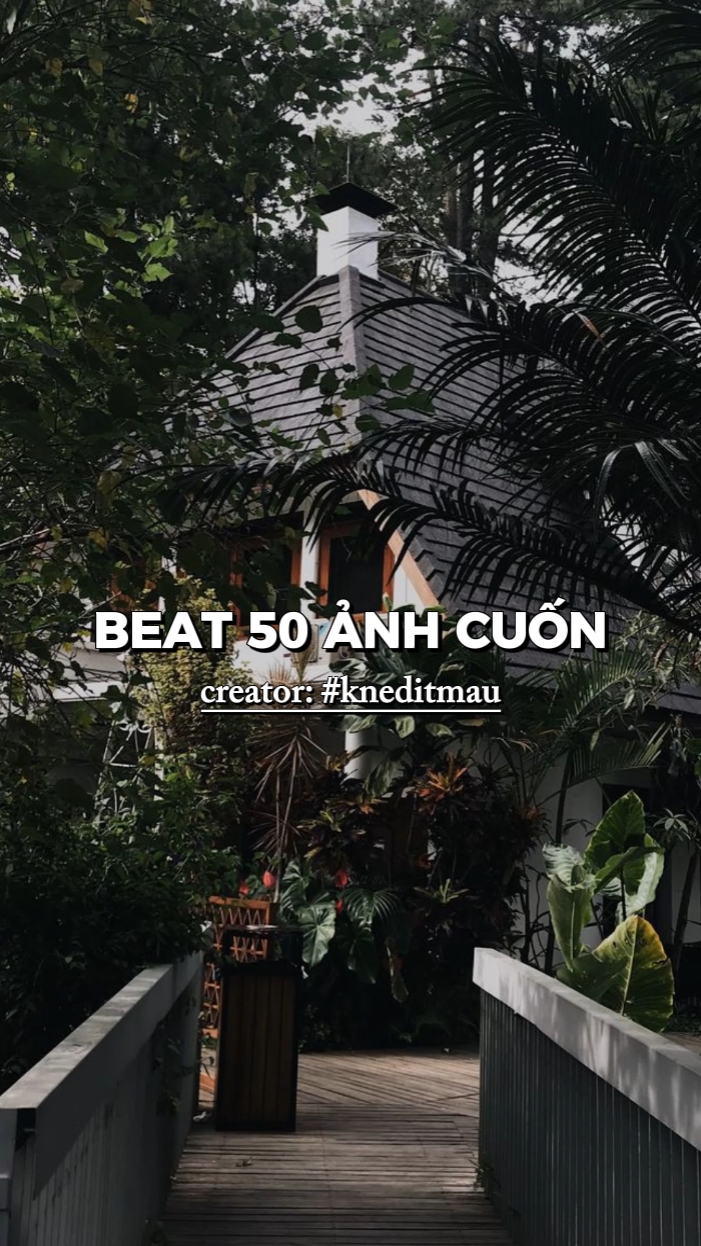 BEAT 50 NH