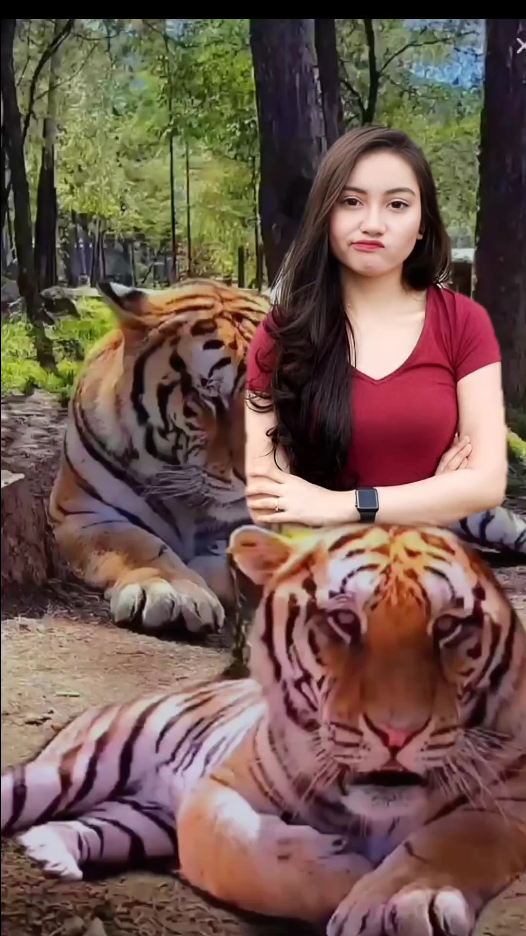 Harimau Harimau