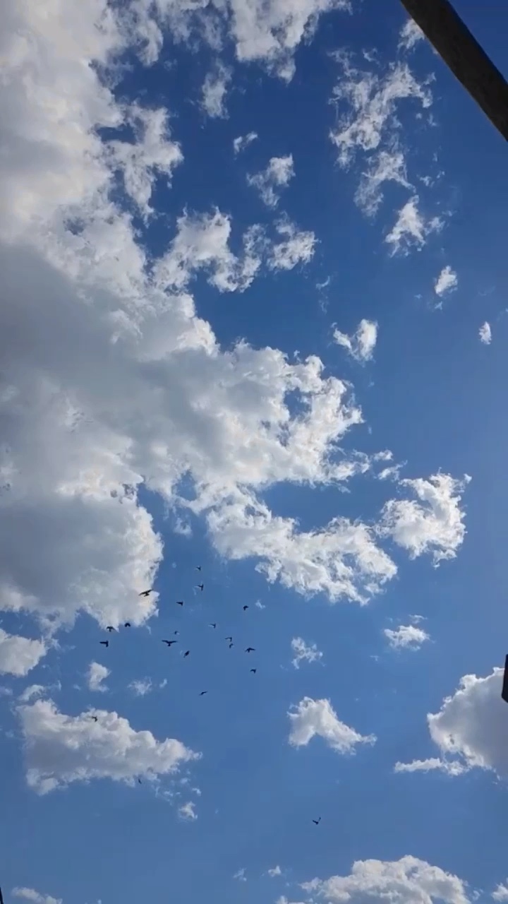 mini vlog "46