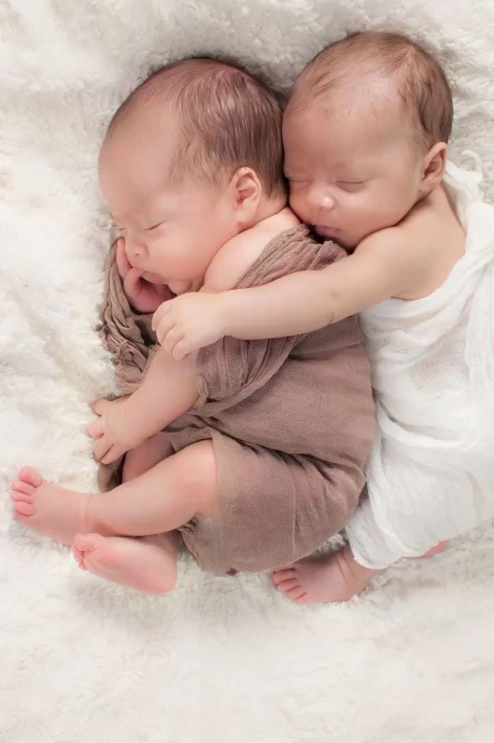 bayi kembar