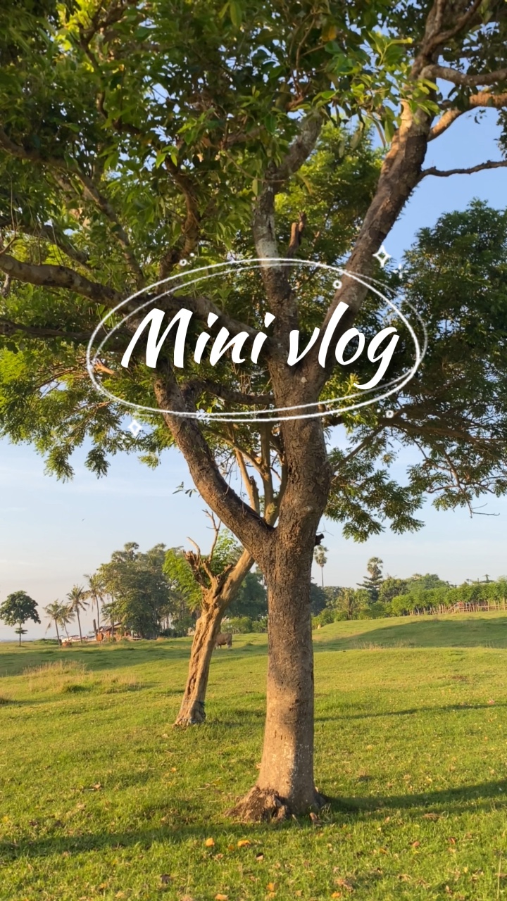 Histoire de Cocok buat
