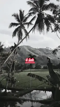 Beat 4 ảnh xịn