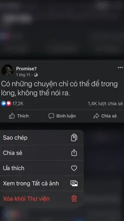 Mẫu capcut