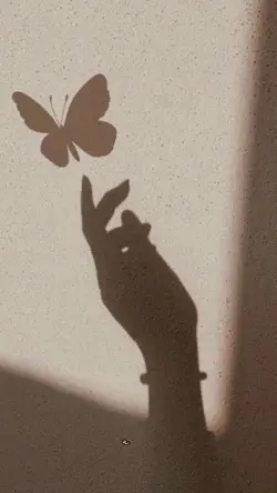 good night
