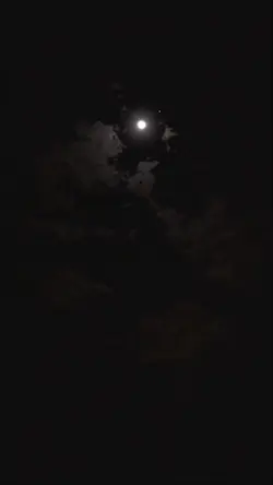 aesthetic malam