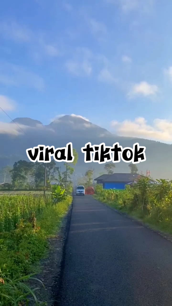 viral tiktok