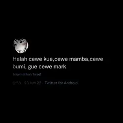 versi mark