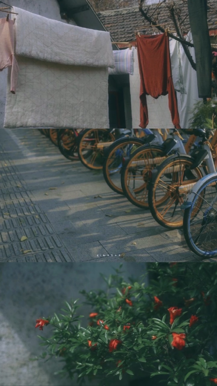3 ảnh màu vintage