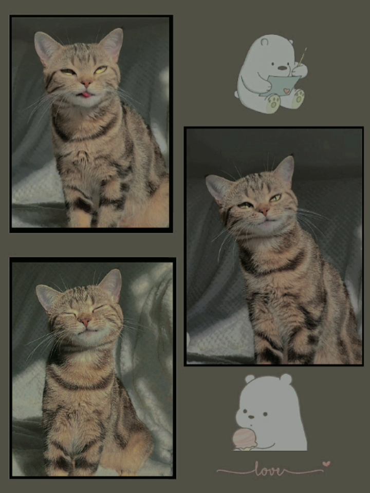 snoze