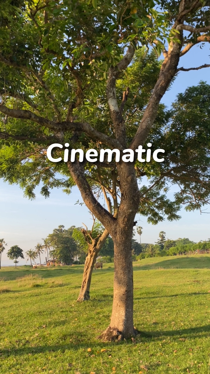 Nature song