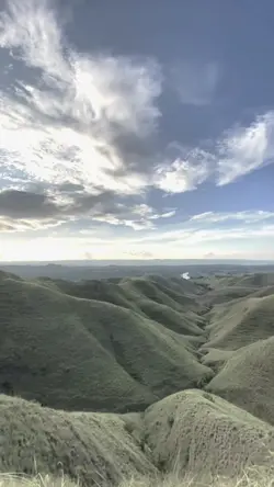 Slowmo Viral