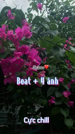 Mẫu Khoe Nhà