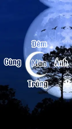 Mẫu 16 ảnh