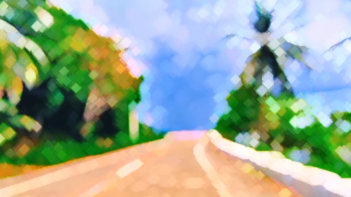 CARRETERA DEL PAÍS