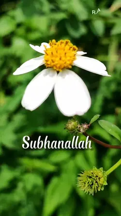 Zikir tasbih