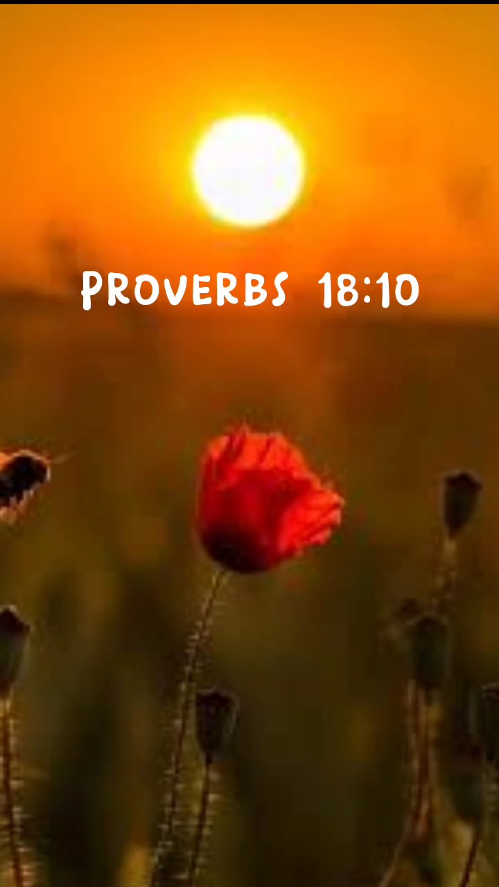 Provérbios 