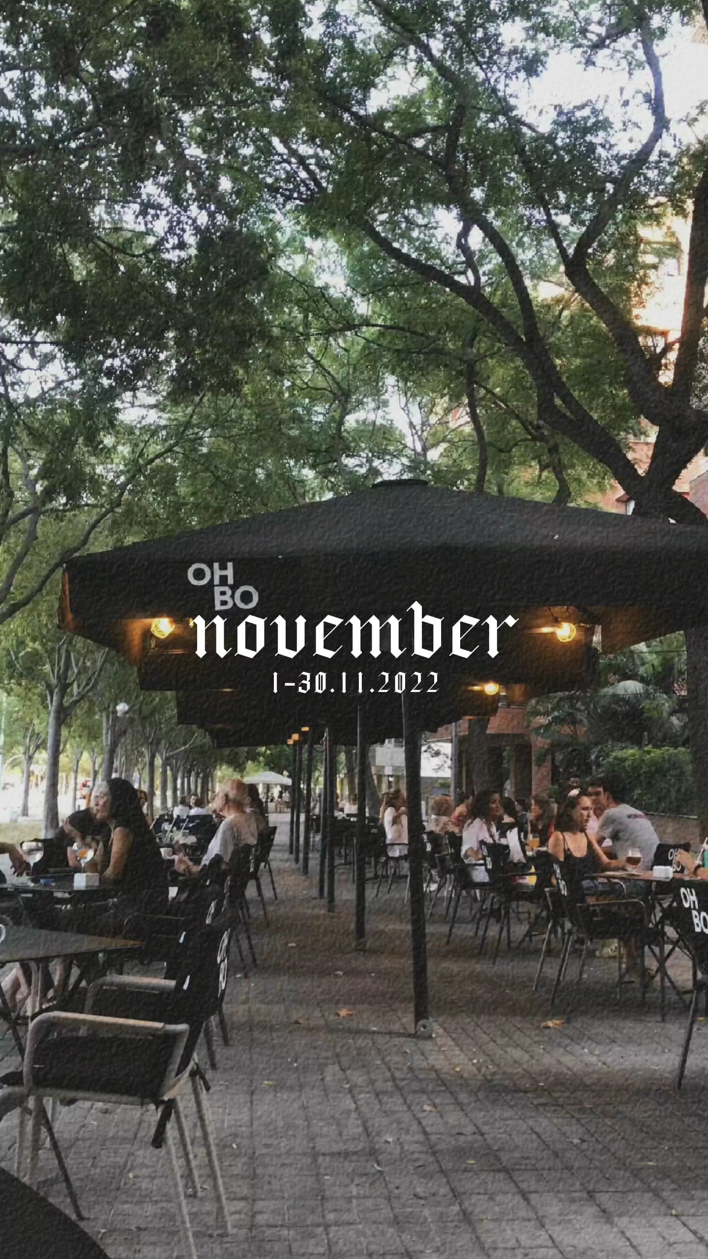 november 20 foto