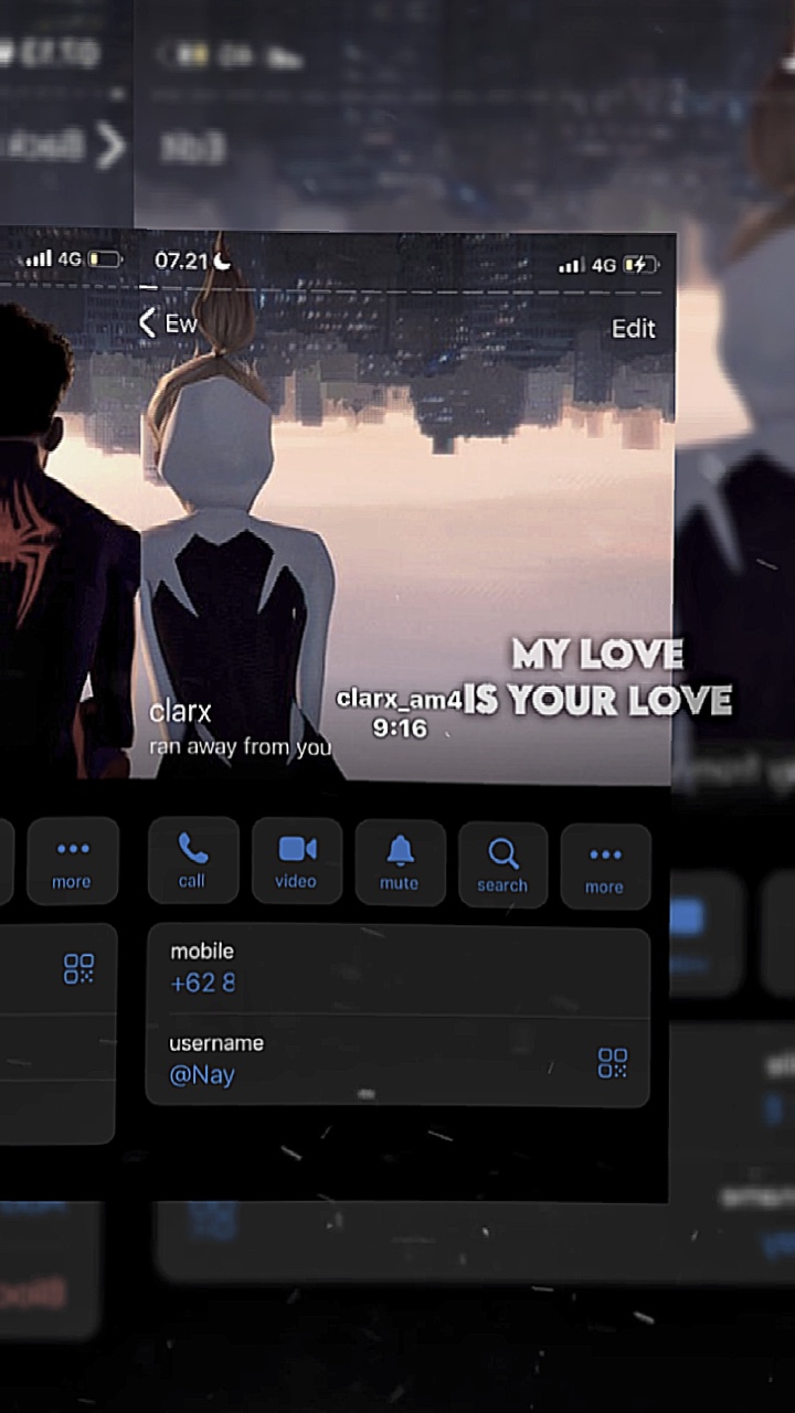 my love is your love