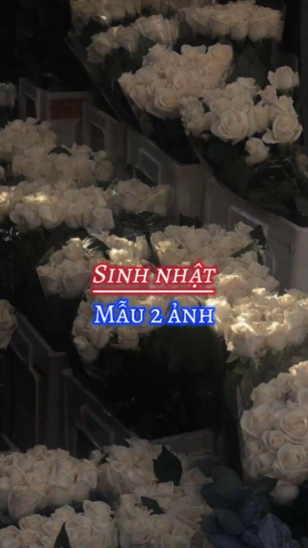 Sinh nhật
