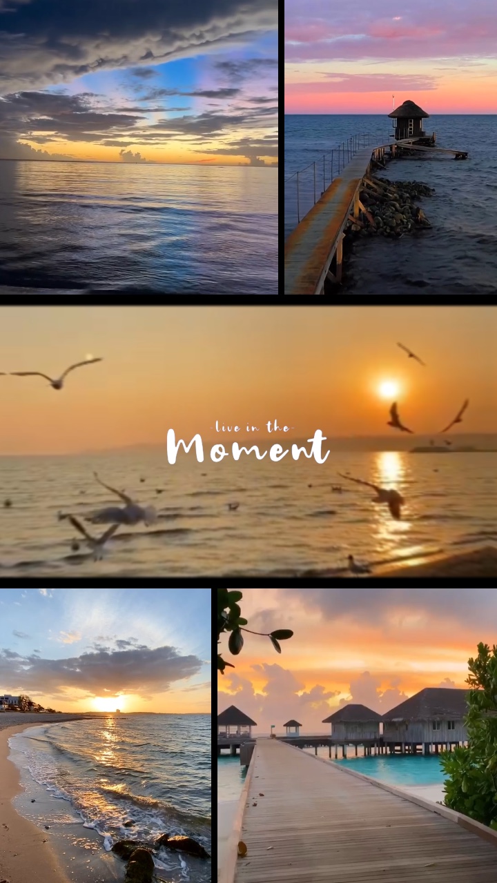 Mini Vlog Izgarası 0112