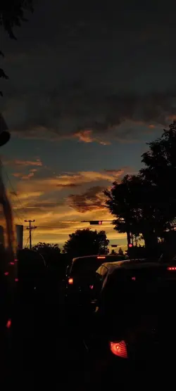 disappear