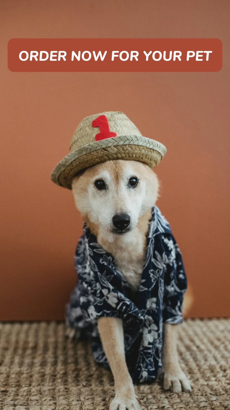 Clothing For Your Pet