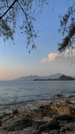 3 video