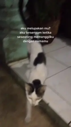 repost 