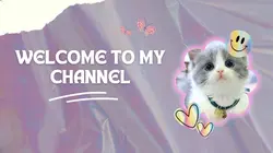 Opening Video