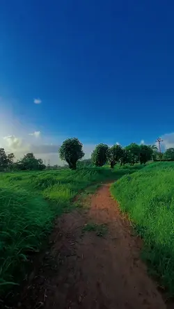 slowmo