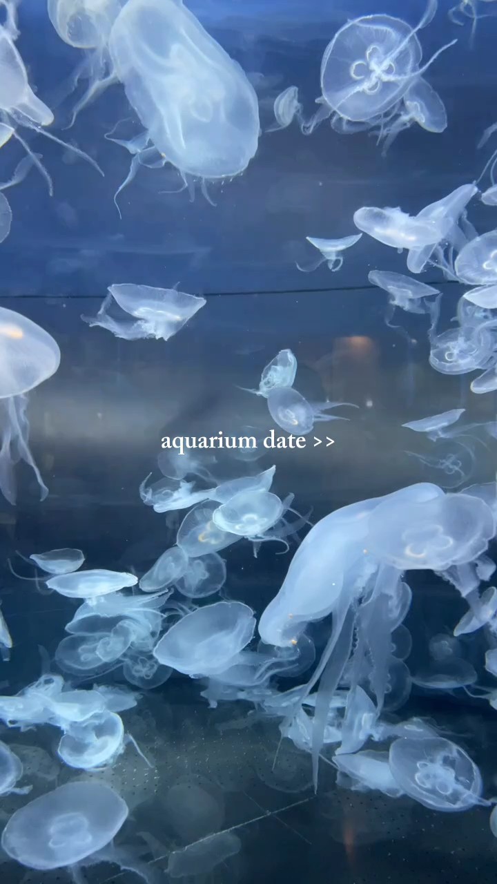 Fecha de acuario>>