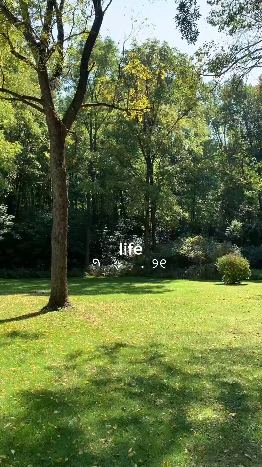mini vlog estetiği 