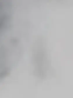 trendtiktok