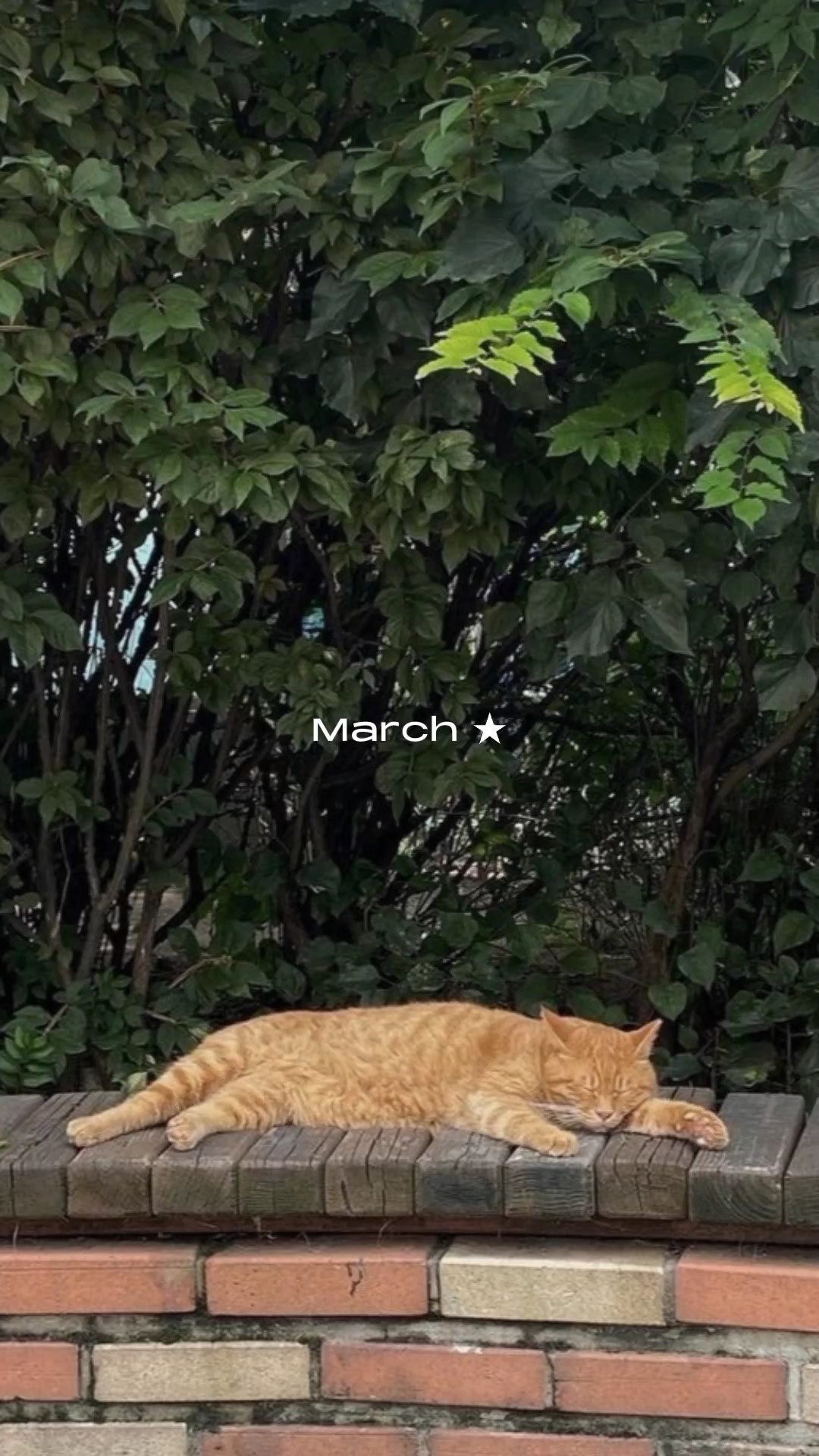 30 photos | dépotoir de mars