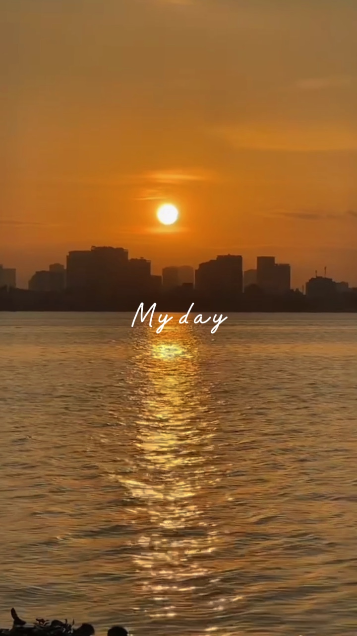 Meu dia