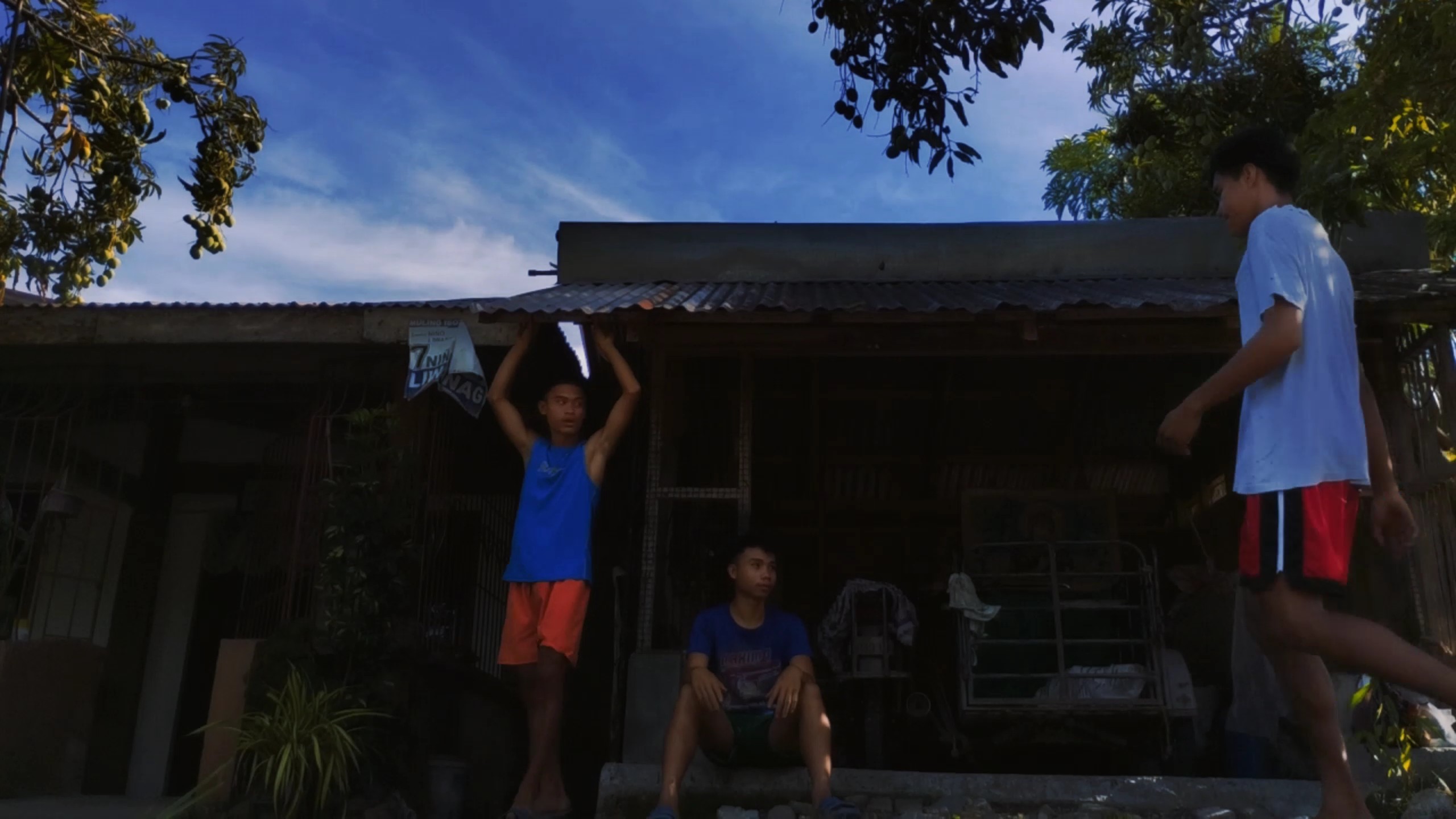 Cover Picture