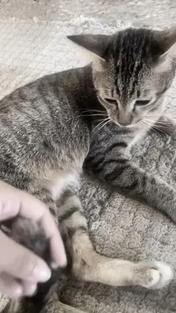 🖤