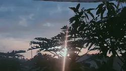 CINEMATIC 
