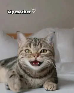 mother and me ver
