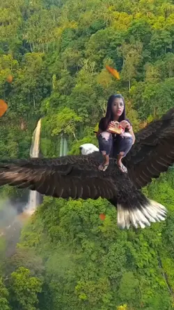 burungterbang