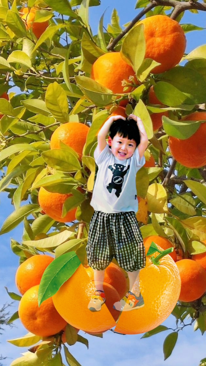 Bebê buah 
