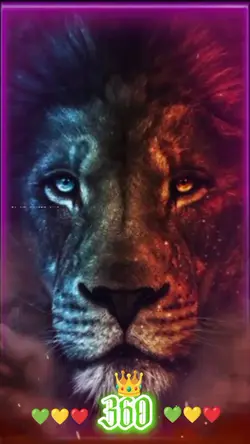 HEMASTEVEN 