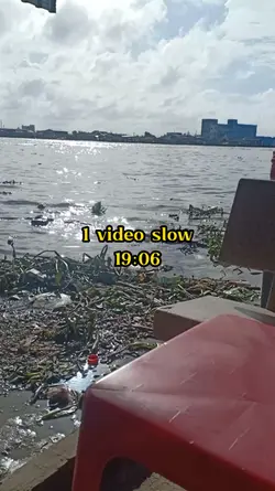 1 vd slow