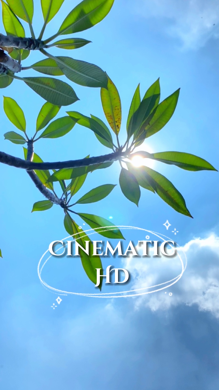 Filter HD