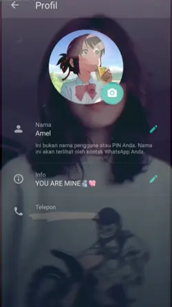 tunjukan pp wa mu