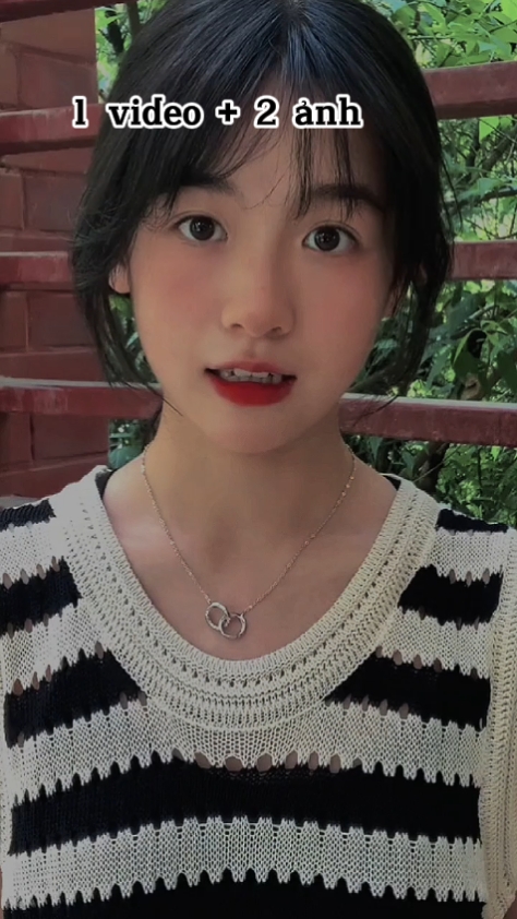 1 vidéo + 2 ảnh
