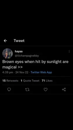 brown eyes 