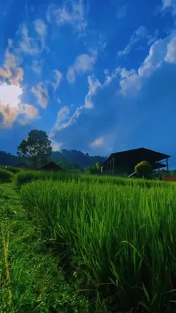 slowmo aesthetic
