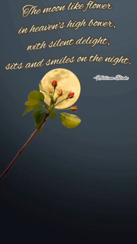 Moon and flowers